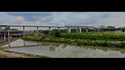 A view of the Saumitra Van (File)