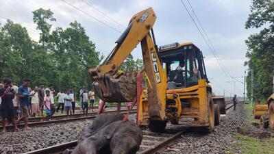 Animal rights activists have alleged that hulla teams (villagers engaged by the forest department to drive away elephants) were chasing the elephants when they moved to the railway tracks Animal rights activists have alleged that hulla teams (villagers engaged by the forest department to drive away elephants) were chasing the elephants when they moved to the railway tracks