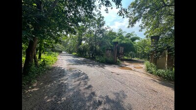 The National Green Tribunal (NGT) initiated proceedings on a petition alleging extensive environmental degradation and illegal activities within the Chandrashekhar Smriti Van, a significant forest area in Bhondsi, Gurugram. (HT PHOTO) The National Green Tribunal (NGT) initiated proceedings on a petition alleging extensive environmental degradation and illegal activities within the Chandrashekhar Smriti Van, a significant forest area in Bhondsi, Gurugram. (HT PHOTO)