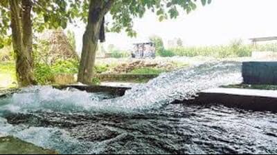 To promote conservation and create awareness, U.P. is observing Groundwater Week from July 16 to 22. (For representation)