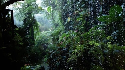 Rain makes the scenery prettier. (Shutterstock) Rain makes the scenery prettier. (Shutterstock)
