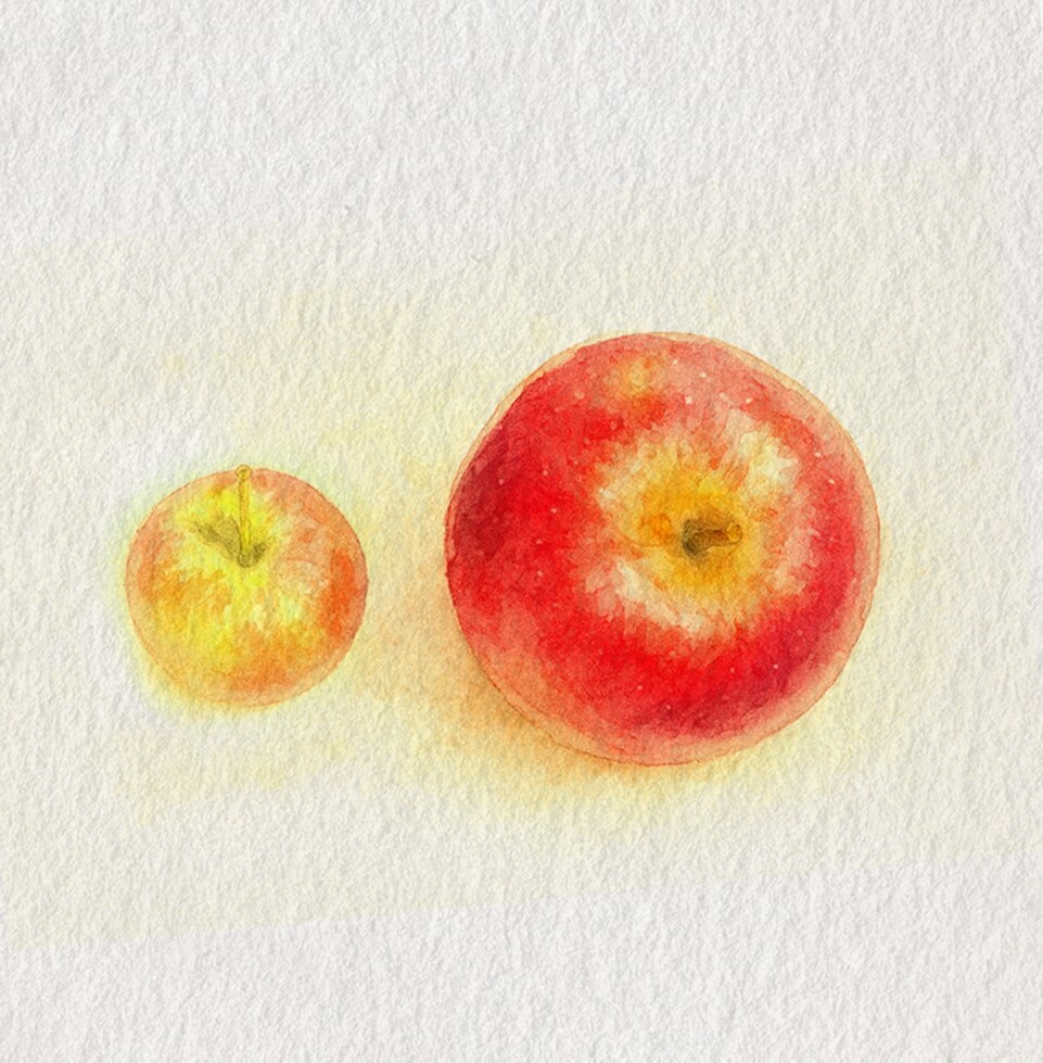 This fruit started out small — no larger than a chicken egg. The Malus sieversii (above left) still grows in Kazakhstan. (HT photo illustration: Puneet Kumar)