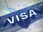 After being laid off from his first job on an H1B visa, a 2024 graduate has struggled to find work for nine months.