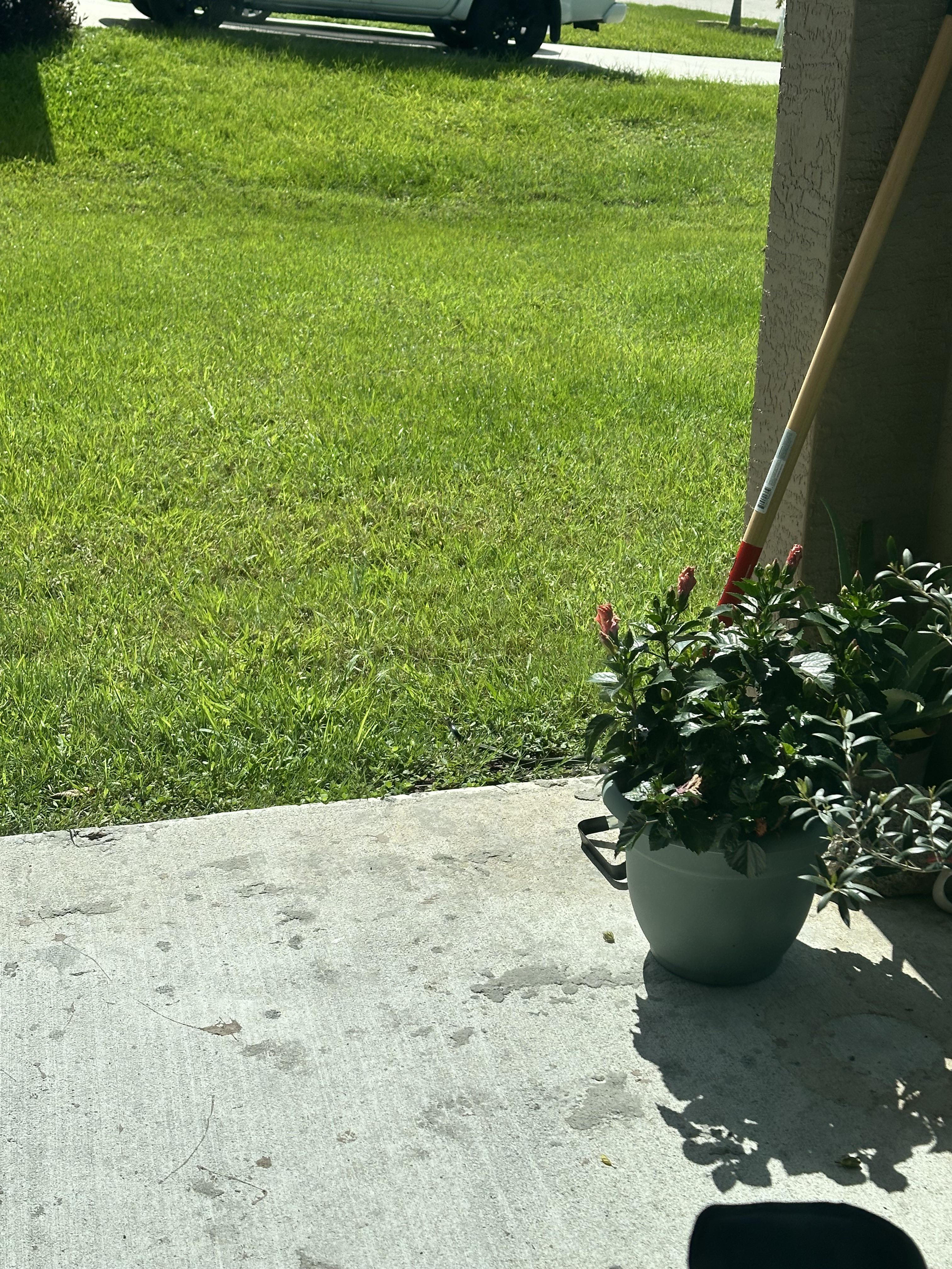 An optical illusion shared on Reddit tested perception as users struggled to locate a cleverly camouflaged snake. (Reddit/Winteraine78) An optical illusion shared on Reddit tested perception as users struggled to locate a cleverly camouflaged snake. (Reddit/Winteraine78)