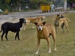 Karnataka reported more than 2 lakh dog bites in last six months. 