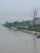 The Munak Canal in Delhi has over 2,000 trees in its alignment. (Vipin Kumar/HT Photo) The Munak Canal in Delhi has over 2,000 trees in its alignment. (Vipin Kumar/HT Photo)
