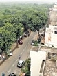 Trees can be felled on such land only with the approval and prior nod of the top court. (HT Archive)