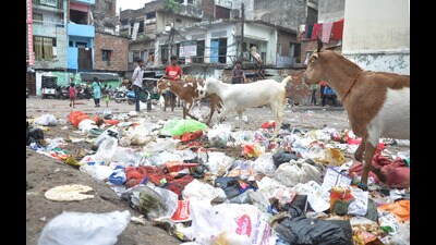 Garbage lay scattered on a street in Nazar Bagh near Cantt Road in Lucknow on Sunday (Deepak Gupta/HT) Garbage lay scattered on a street in Nazar Bagh near Cantt Road in Lucknow on Sunday (Deepak Gupta/HT)