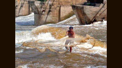 Ghost nets are widely recognised as one of the most dangerous forms of marine plastic pollution. (REPRESENTATIVE PHOTO) Ghost nets are widely recognised as one of the most dangerous forms of marine plastic pollution. (REPRESENTATIVE PHOTO)