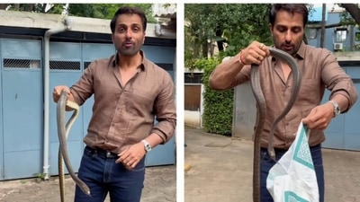 Actor Sonu Sood rescued a non-venomous rat snake in Mumbai, urging others to call professionals in such situations. Actor Sonu Sood rescued a non-venomous rat snake in Mumbai, urging others to call professionals in such situations.