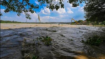 The Yamuna in Wazirabad on July 2. (Sanchit Khanna/HT Photo) The Yamuna in Wazirabad on July 2. (Sanchit Khanna/HT Photo)