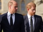 Rosie Roche was Prince Harry and William's cousin.
