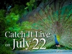 Catch It Live on Tuesday, 22 July 2025. (Photo: Anurag Mehra/HT)