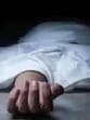 The victims were identified as Shivam Tiwari, 17, his elder brother Satyanarayan Tiwari, 19, both residents of Parsia Tiwari Purwa village, and Ravi Pandey, 22, of Pandit Purwa, Naypurwa. (For Representation)