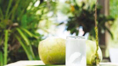 Due to low supply from south, coconut prices soar ahead of Ganesh festival Due to low supply from south, coconut prices soar ahead of Ganesh festival