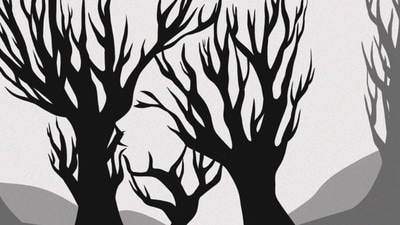 Optical illusion: Can you spot the hidden element? (Brightside)
