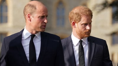 Rosie Roche was Prince Harry and William's cousin. (AFP)