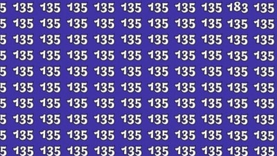 Optical illusion: The aim of the challenge is to find the odd number in the grid of 135s. (X/@OMAPhilipa) Optical illusion: The aim of the challenge is to find the odd number in the grid of 135s. (X/@OMAPhilipa)
