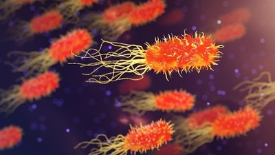 The study named ‘Forecasting the Fallout from AMR: Economic Impacts of Antimicrobial Resistance in Humans’ highlighted the economic cost of superbugs (Representational Image) The study named ‘Forecasting the Fallout from AMR: Economic Impacts of Antimicrobial Resistance in Humans’ highlighted the economic cost of superbugs (Representational Image)