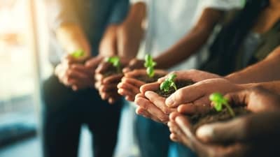 Carbon footprint (Shutterstock) Carbon footprint (Shutterstock)