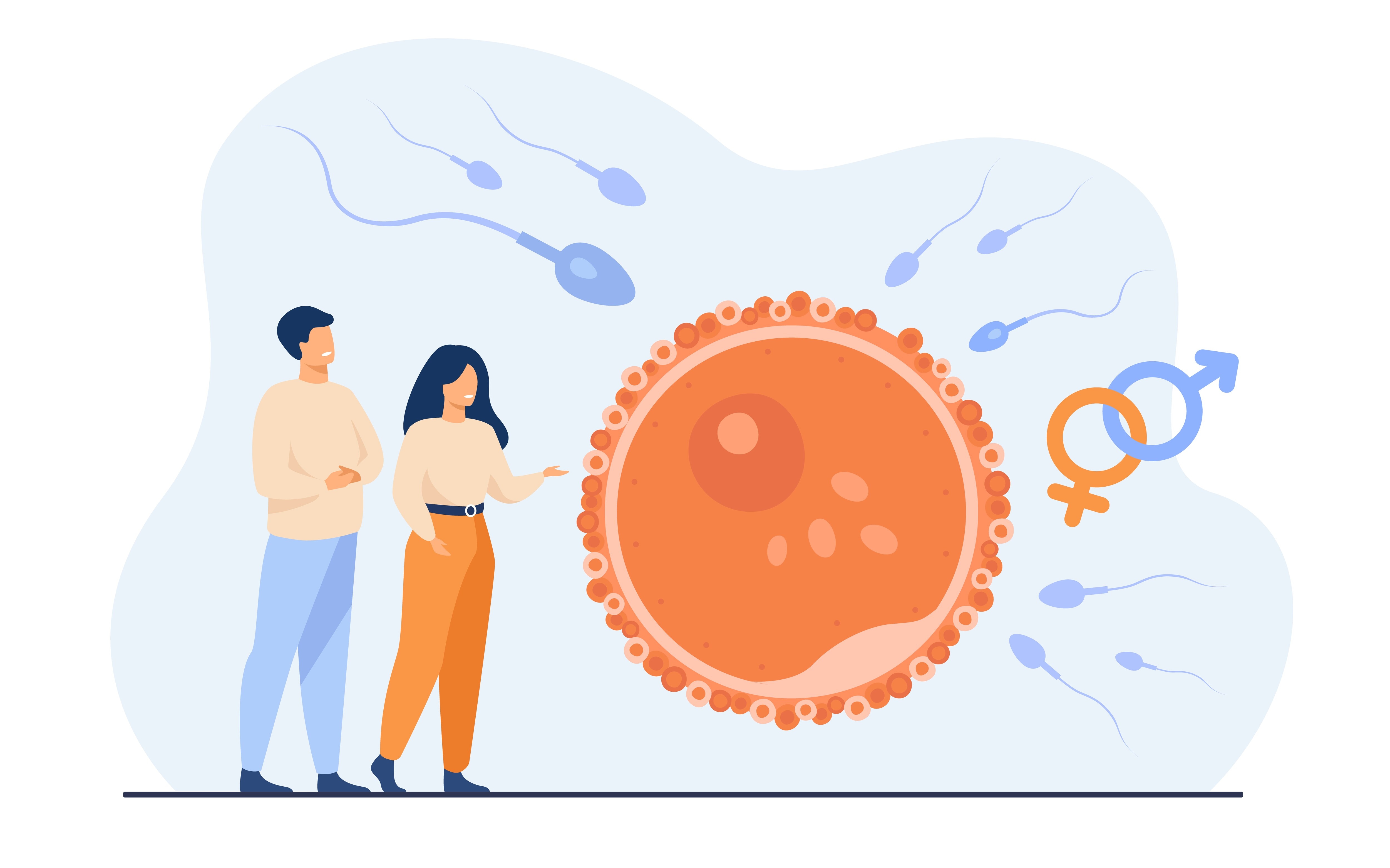 Egg freezing, also known as oocyte cryopreservation, is a fertility preservation technique.