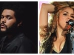 Global Citizen Festival features The Weeknd and Shakira, focusing on improving energy access in Africa and defending the Amazon.
