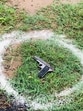 The accused allegedly opened fire on the police vehicle, firing two rounds before being shot in the leg during retaliatory action. (HT) The accused allegedly opened fire on the police vehicle, firing two rounds before being shot in the leg during retaliatory action. (HT)