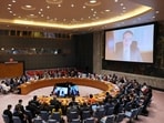 The resolution calls for enhancing efforts by all regional and sub-regional organisations for peaceful settlement of disputes 
