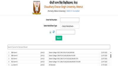 CCSU Result 2025: BBA, BCA, LLB semester 2 and 4 results declared at ccsuniversity.ac.in, direct link here CCSU Result 2025: BBA, BCA, LLB semester 2 and 4 results declared at ccsuniversity.ac.in, direct link here