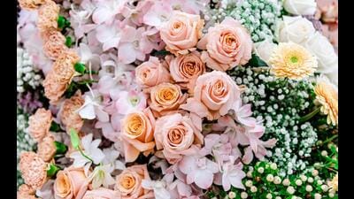 I remember my school smelling of real roses from the garden we couldn’t touch, chalk dust, and the plasticky sweetness of lunch boxes. (Stock) I remember my school smelling of real roses from the garden we couldn’t touch, chalk dust, and the plasticky sweetness of lunch boxes. (Stock)