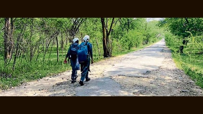 Students walking a forest road in Mattewara to reach their school. (HT Photo) Students walking a forest road in Mattewara to reach their school. (HT Photo)