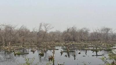 The Gautam Budh Nagar administration is set to launch two initiatives—Green Week and Green Chaupal. (Ht Photo) The Gautam Budh Nagar administration is set to launch two initiatives—Green Week and Green Chaupal. (Ht Photo)