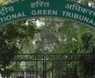 In July, the tribunal had directed the commissioner to restore the green belt areas and submit a compliance report. (HT Photo) In July, the tribunal had directed the commissioner to restore the green belt areas and submit a compliance report. (HT Photo)