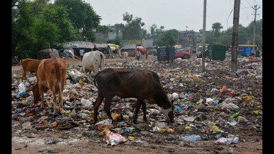 An MC official acknowledged that data collection for the assessment was flawed, with public questionnaires on cleanliness not accurately recorded. (Sant Arora/HT) An MC official acknowledged that data collection for the assessment was flawed, with public questionnaires on cleanliness not accurately recorded. (Sant Arora/HT)