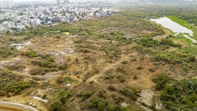 In April, the Supreme Court issued orders to stop all deforestation activity undertaken in the 400 acres of Kancha Gachibowli area by the Telangana government (PTI) In April, the Supreme Court issued orders to stop all deforestation activity undertaken in the 400 acres of Kancha Gachibowli area by the Telangana government (PTI)