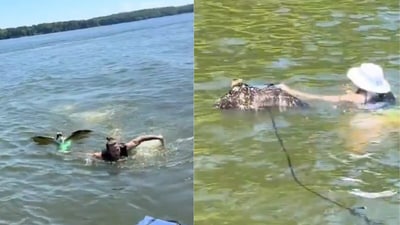 The man comforted the drowning osprey before a woman helped bring it to shore. (@jessicasalmons8/TikTok) The man comforted the drowning osprey before a woman helped bring it to shore. (@jessicasalmons8/TikTok)