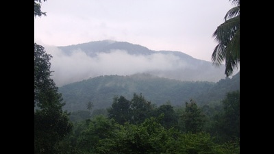 The tribunal made it clear that if local authorities fail to act, the forest department has the right to approach the SC for contempt action. (REPRESENTATIVE PIC) The tribunal made it clear that if local authorities fail to act, the forest department has the right to approach the SC for contempt action. (REPRESENTATIVE PIC)