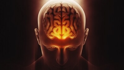 Stay active, eat well, and stay mentally and socially engaged. (Freepik) Stay active, eat well, and stay mentally and socially engaged. (Freepik)