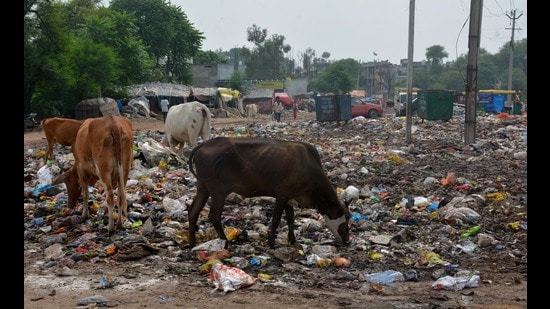An MC official acknowledged that data collection for the assessment was flawed, with public questionnaires on cleanliness not accurately recorded. (Sant Arora/HT)