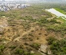 In April, the Supreme Court issued orders to stop all deforestation activity undertaken in the 400 acres of Kancha Gachibowli area by the Telangana government (PTI) In April, the Supreme Court issued orders to stop all deforestation activity undertaken in the 400 acres of Kancha Gachibowli area by the Telangana government (PTI)