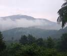 The tribunal made it clear that if local authorities fail to act, the forest department has the right to approach the SC for contempt action. (REPRESENTATIVE PIC) The tribunal made it clear that if local authorities fail to act, the forest department has the right to approach the SC for contempt action. (REPRESENTATIVE PIC)