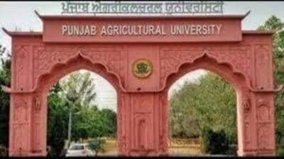 Those having degrees in four-year BSc (Hons) in horticulture programme have raised concerns over their exclusion. (HT Photo)