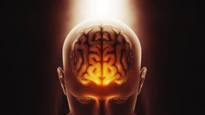 Brain develops differently based on age. (Shutterstock) Brain develops differently based on age. (Shutterstock)