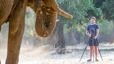 The 39-year-old conservationist was attempting to guide a group of elephants. (Instagram/@fcconradie) The 39-year-old conservationist was attempting to guide a group of elephants. (Instagram/@fcconradie)