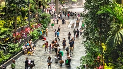 An Indian man stole items worth ₹3.5 lakh from Singapore airport, police say (Representational image) An Indian man stole items worth ₹3.5 lakh from Singapore airport, police say (Representational image)