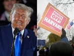 Wite House seeks fine from Harvard University