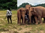 A video of elephants rushing to greet their caretaker went viral.