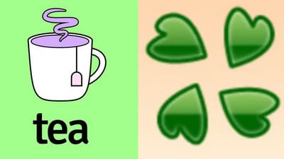 Tea dating app hacked by 4chan user, over 72,000 users' verification