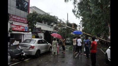 A tree fell near the Ahuja Hospital located in Vivek Khand area in Gomti Nagar, Lucknow, on Friday (Deepak Gupta/HT) A tree fell near the Ahuja Hospital located in Vivek Khand area in Gomti Nagar, Lucknow, on Friday (Deepak Gupta/HT)