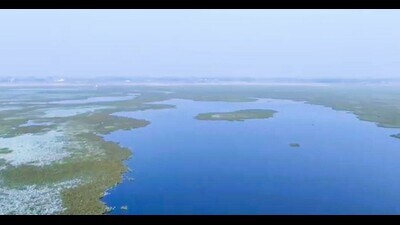 Alwara lake in Kaushambi (FILE PHOTO) Alwara lake in Kaushambi (FILE PHOTO)